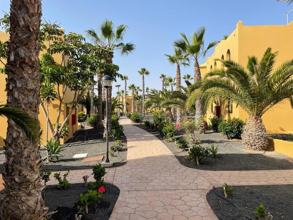 Casa Denny - Oasis Papagayo Daire Corralejo Dış mekan fotoğraf